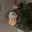 mai_setayesh