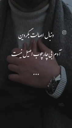 زندگی را می توان از ما سرود