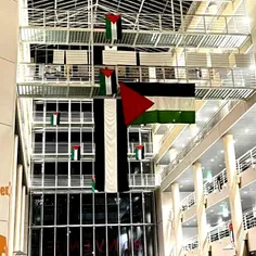 پرچم فلسطين 🇵🇸 در دانشگاه سوئیس| بیداری