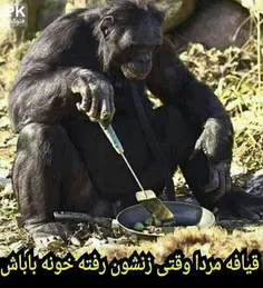 خخخخخ