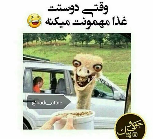 کیا ایطورن؟😂 کام بزارن و رفیق شیکموشو تگـ کنه