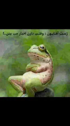 هههههه