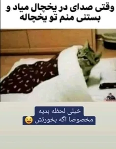 حق😂