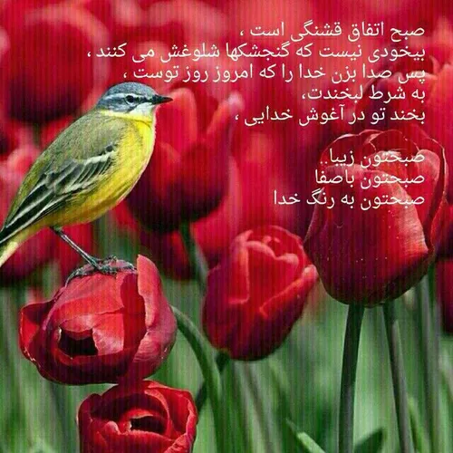 salam sobheton bekher