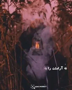 گاهی برای “رشد کردن”