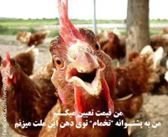 بله دیگه