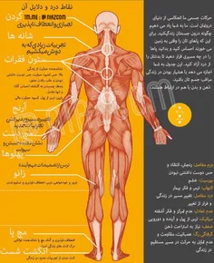 جدول دردهای عاطفی ؛ نقاط درد و دلایل آن (☝ ️)