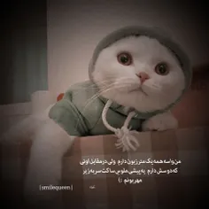 اقا مِهدی‌ِ من، دارم راست میگما🙊🙊😌🥺