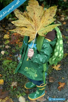 چتر قشنگیه :-)