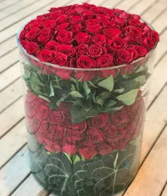 🌹 🌹 🌹 🌹 🌹 🌹