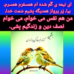 نیمه ی گُم شده ام 