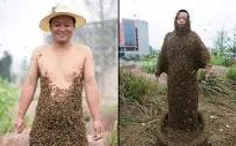 مرد زنبوری