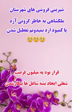 دامادمون بیکار شده فعلا 🥺🥺🥺