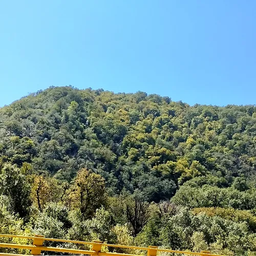 خداحافظ ⛰️🌲🌳🌴🏞️