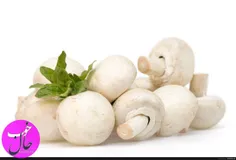 مصرف مرتب قارچ موجب تنظیم میزان هورمون استروژن در خانمها 
