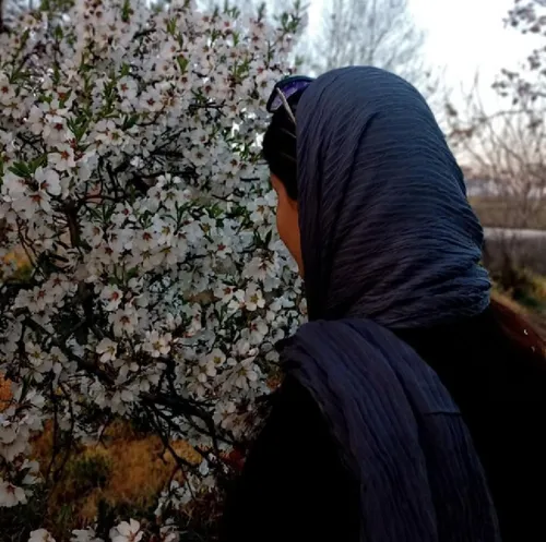 یه زندگی آرومی برای خودت بساز با هر چیزی که داری، همون خو