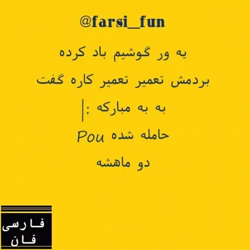my instagram → @farsi fun