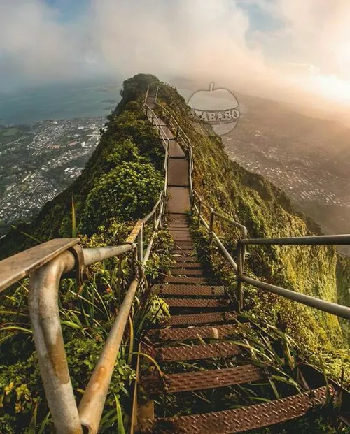 تصویری از 3922 پله، در یکی از جزایر هاوایی به نام اوآهو ر