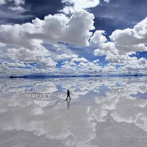 بزرگ ترین صحرای نمک دنیا در کشور بولیوی است که سطح آن بر 