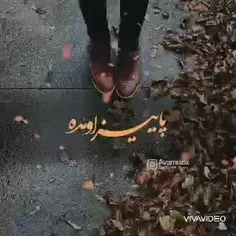 مام مثل عوام‌الناس،