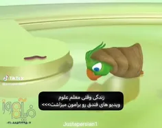آخی فندق😭