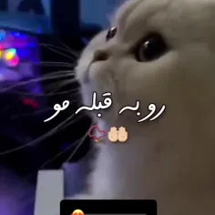 رو به قبله مو😽