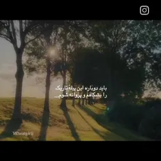 باید...... 🦋