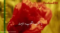 یَا مُقَلِّـبَ الْقُلُـوبِ وَ الْأَبْـصَارِ‌