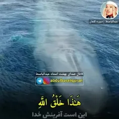 💞الا بذکر الله تطمئن القلوب💞