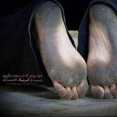 از خودم، از قفس ساده تن دلگیرم