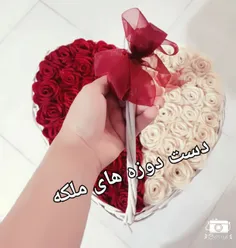 سبد گل رز🌹   🌹   🌹   🌹   🌹         09380708026