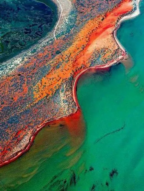 خلیج "شرک" در استرالیا آمیخته ای از آب های آبی، صخره های 