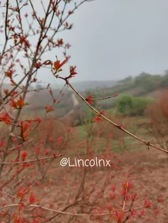 "صبح" که می شود