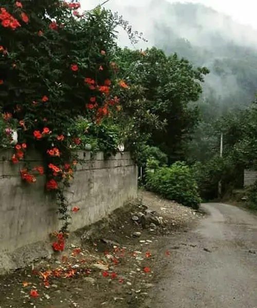 ایرانگردی جهانگردی ساسان