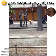 اوخی چه خوشحال شد 😄