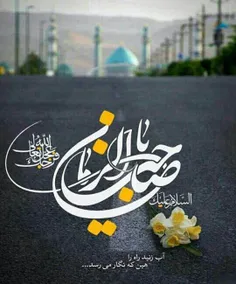 صَـلَ اللهُ عـَلـیکَ یـا صـاحـبَ الـزَّمـان (عج)