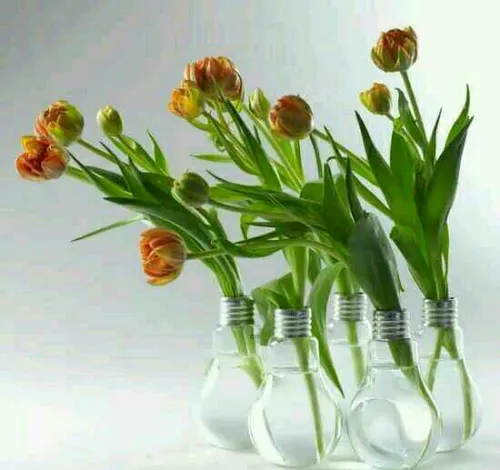 گلدان های فانتزی و بسیار زیبا برای خانه های شما