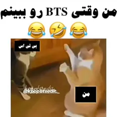 سلام من برگشتم