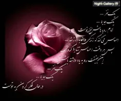 من عشقم گل محمدیه
