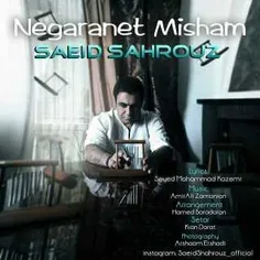 Music New Saeid Shahrouz,, Negaranet Misham