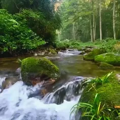 . سلام و ادب . طبیعت زیبای خداوند متعال ( جاری زلال رود ) .