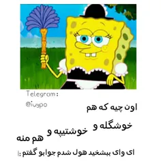 هی هول شدم جوابو گفتم