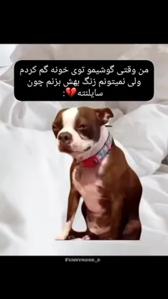 من دیروز تو این شرایط بودم😂