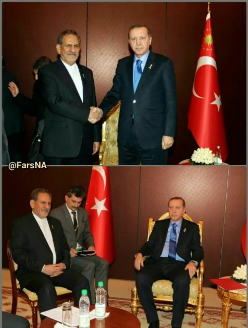 دیدار جهانگیری و اردوغان