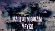 meyko_Hartor mibinam