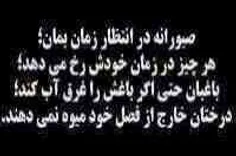 دوستان گلم سلام به همگی امروز از صبح نبودم ببخشید امشب شب