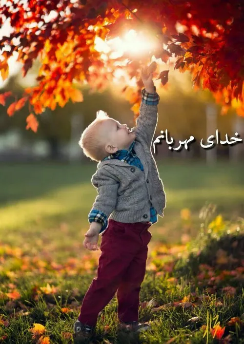 قرارمان صبح مهربانی💛 ☀ ️💛