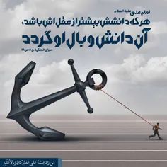 #حکمت_های_علوی