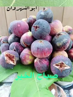 #*چه زیبا وخوشحال کننده است*