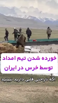 خورده شدن تیم امداد توسط خرس گریزلی در ایران 😳